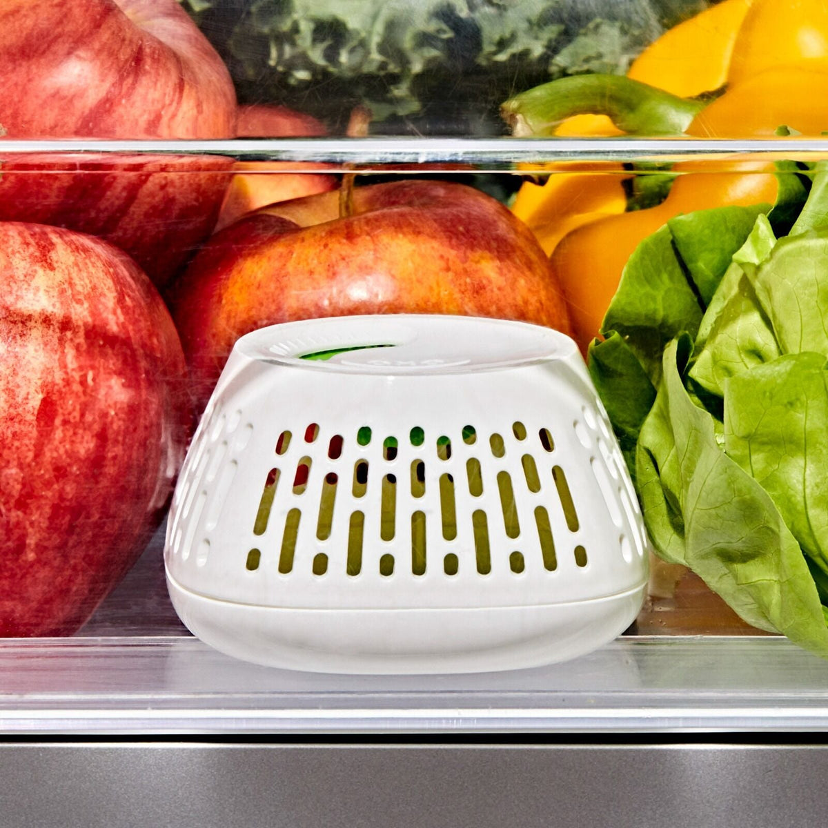 produce-saver-crisper-drawer-insert-2-pack-j6 gg_11427700_greensaver-crisper-drawer-insert_pdp_02.jpeg
