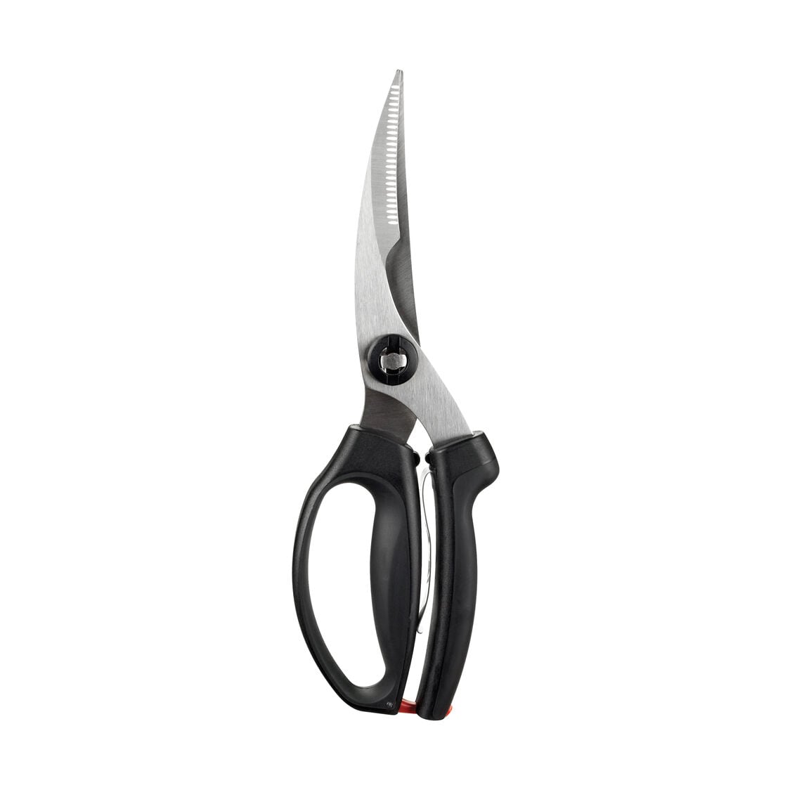poultry-shears-r0 1072292V3.jpg