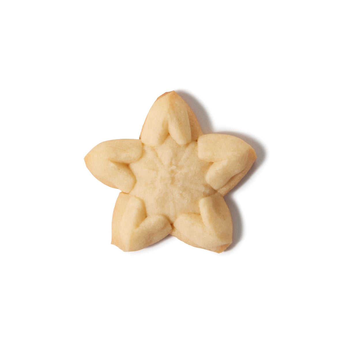 christmas-cookie-press-disk-set-i9 11177800_6_-star.jpg
