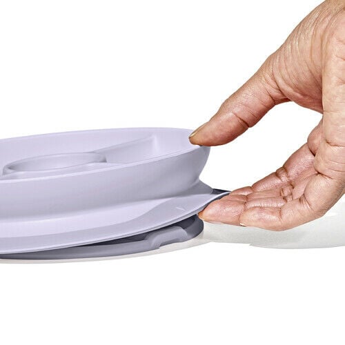 stick-and-stay-suction-divided-plate-y4 1134515a-7af7-4d77-8ad1-4534fbb13d49.jpg