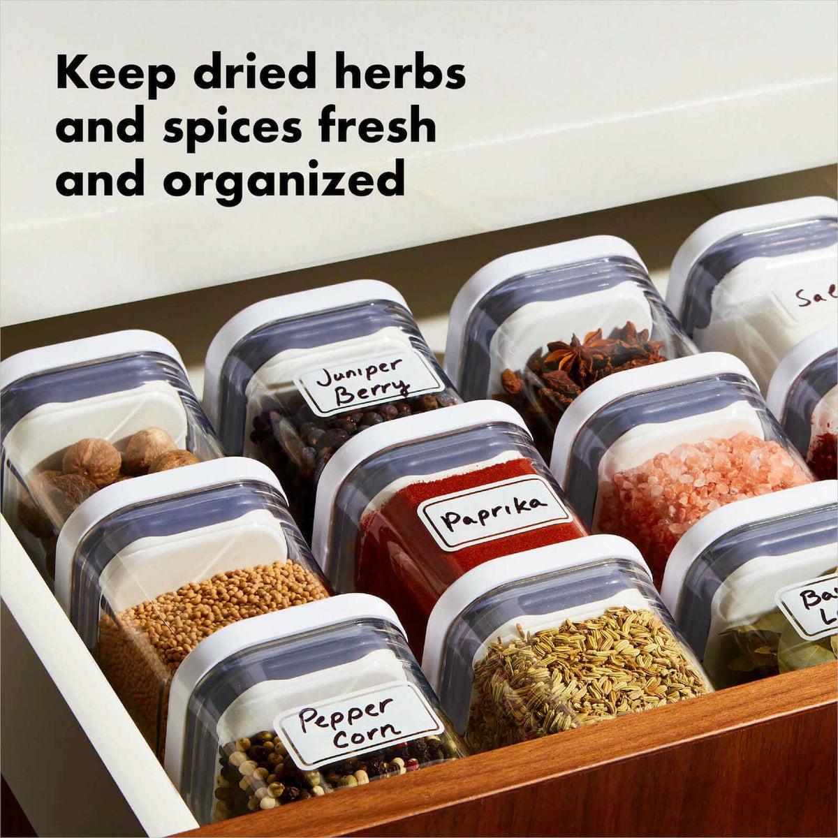 pop-4-piece-mini-container-set-i9 4_pieceaplusartboard_1-100_1_1_.jpg