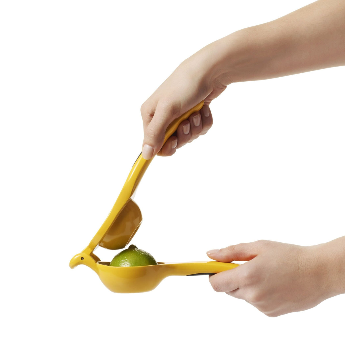 citrus-squeezer-s2 gg_1057962_4a.jpg