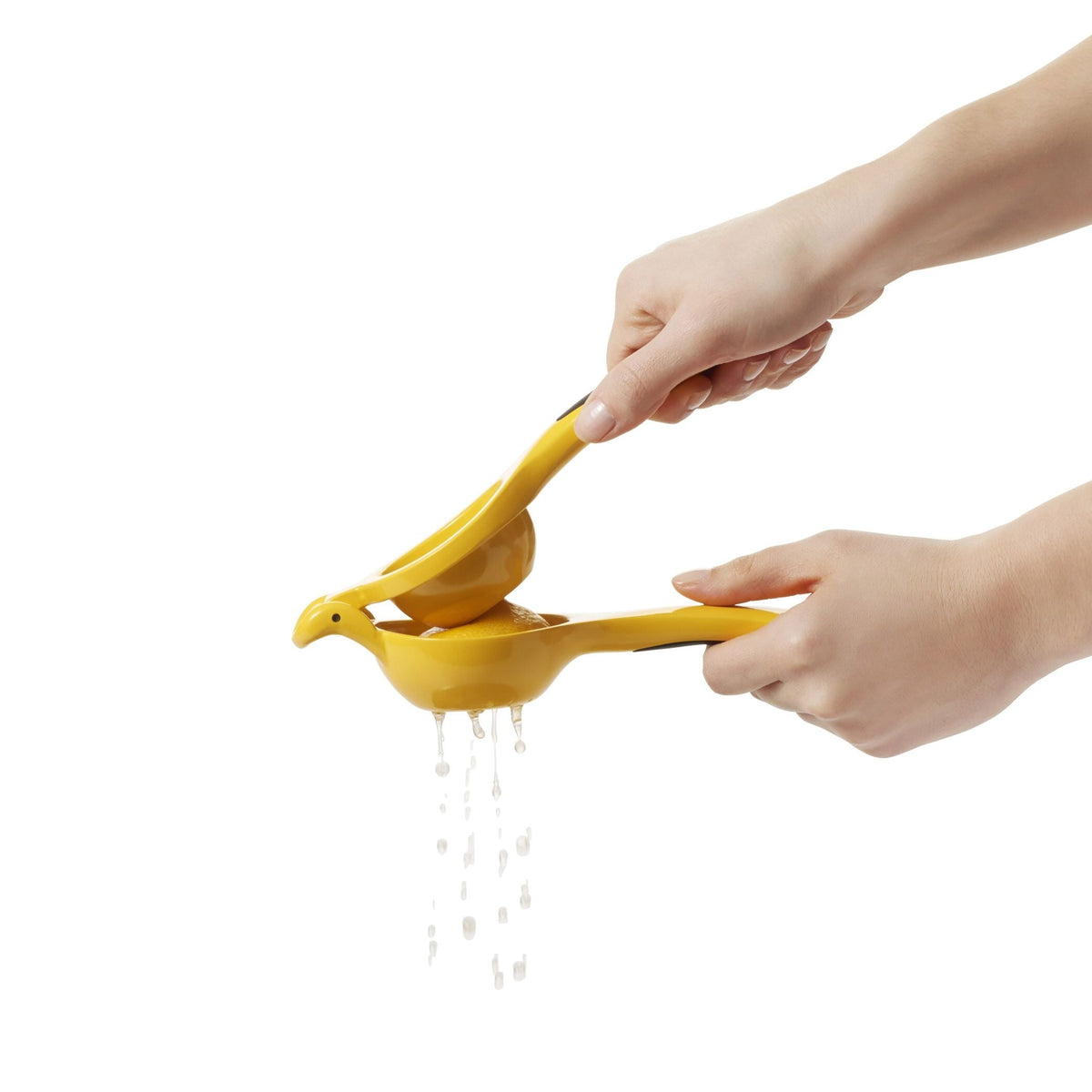 citrus-squeezer-s2 gg_1057962_4b.jpg
