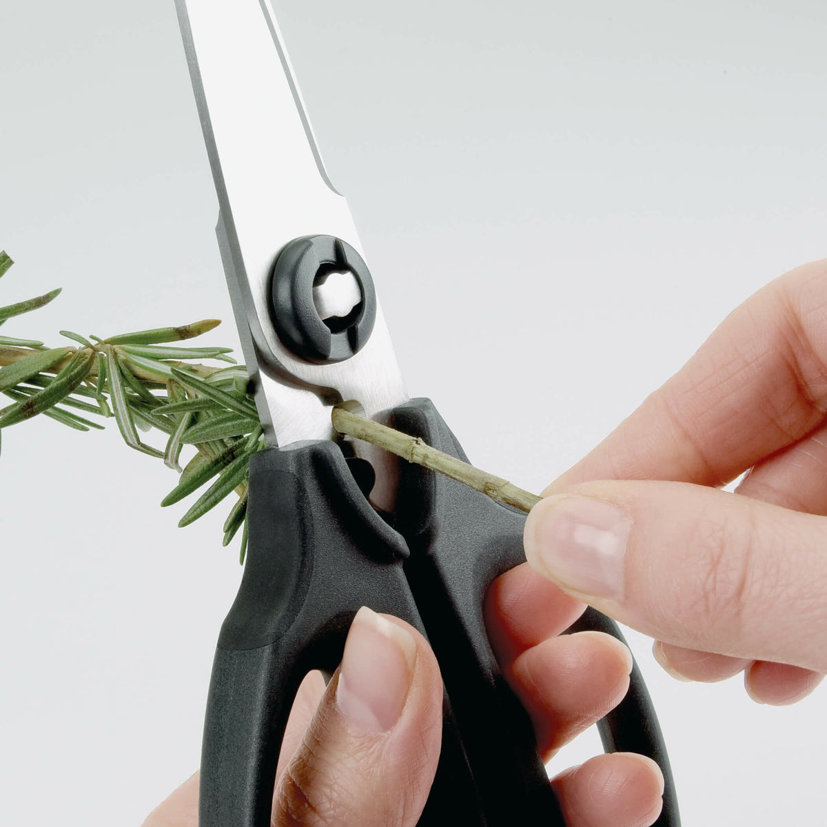 kitchen-and-herb-scissors-w9 gg_1072121_3_1_.jpg