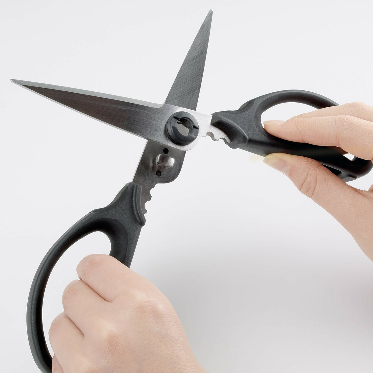 kitchen-and-herb-scissors-w9 gg_1072121_4_1_.jpg