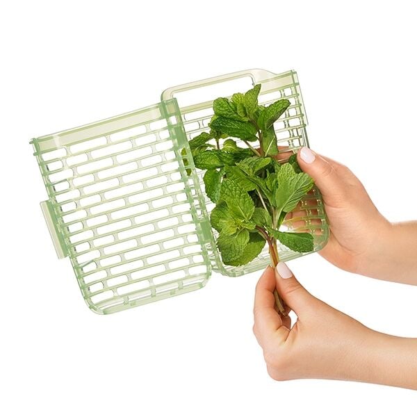 greensaver-herb-keeper-small-s6 gg_11212200_4.jpg