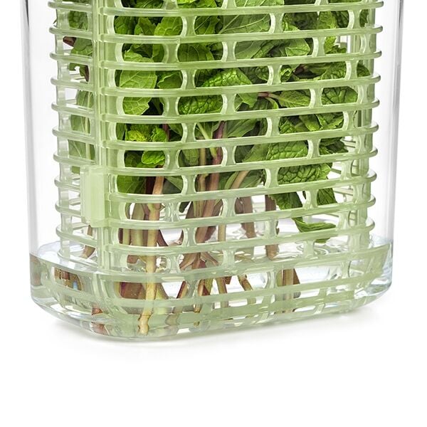 greensaver-herb-keeper-small-s6 gg_11212200_7.jpg