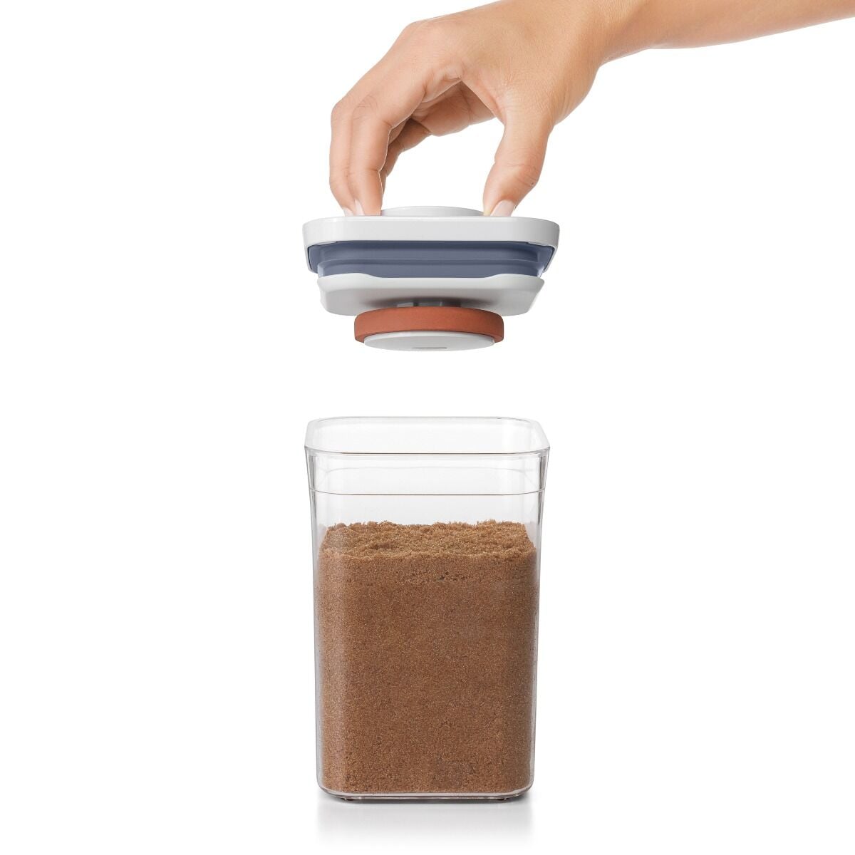 pop-brown-sugar-keeper-y5 gg_11235700_4_-v2.jpg