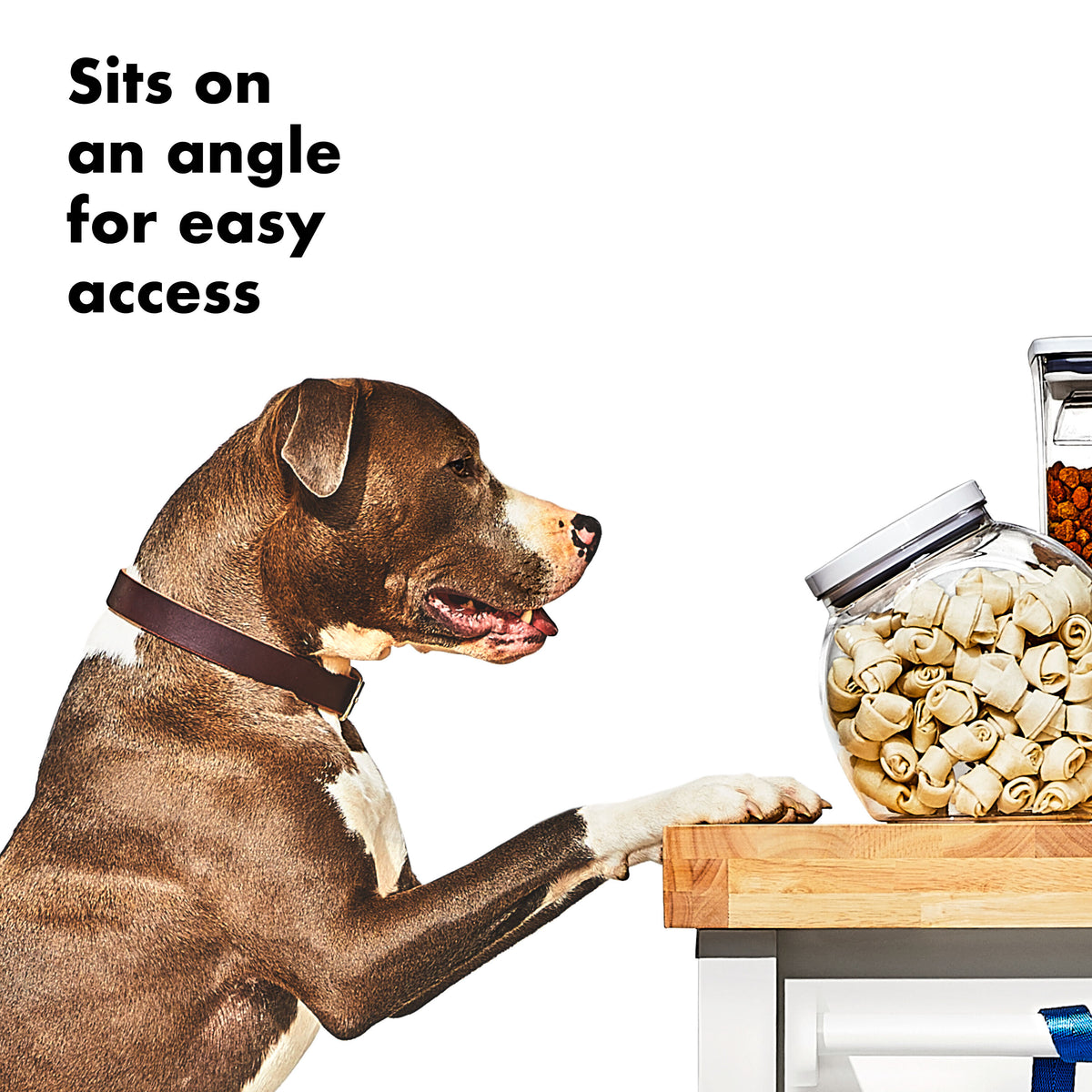 oxo-good-grips-pet-pop-container-3-0-qt-2-8-l-a0 gg_11332400_8b.jpg