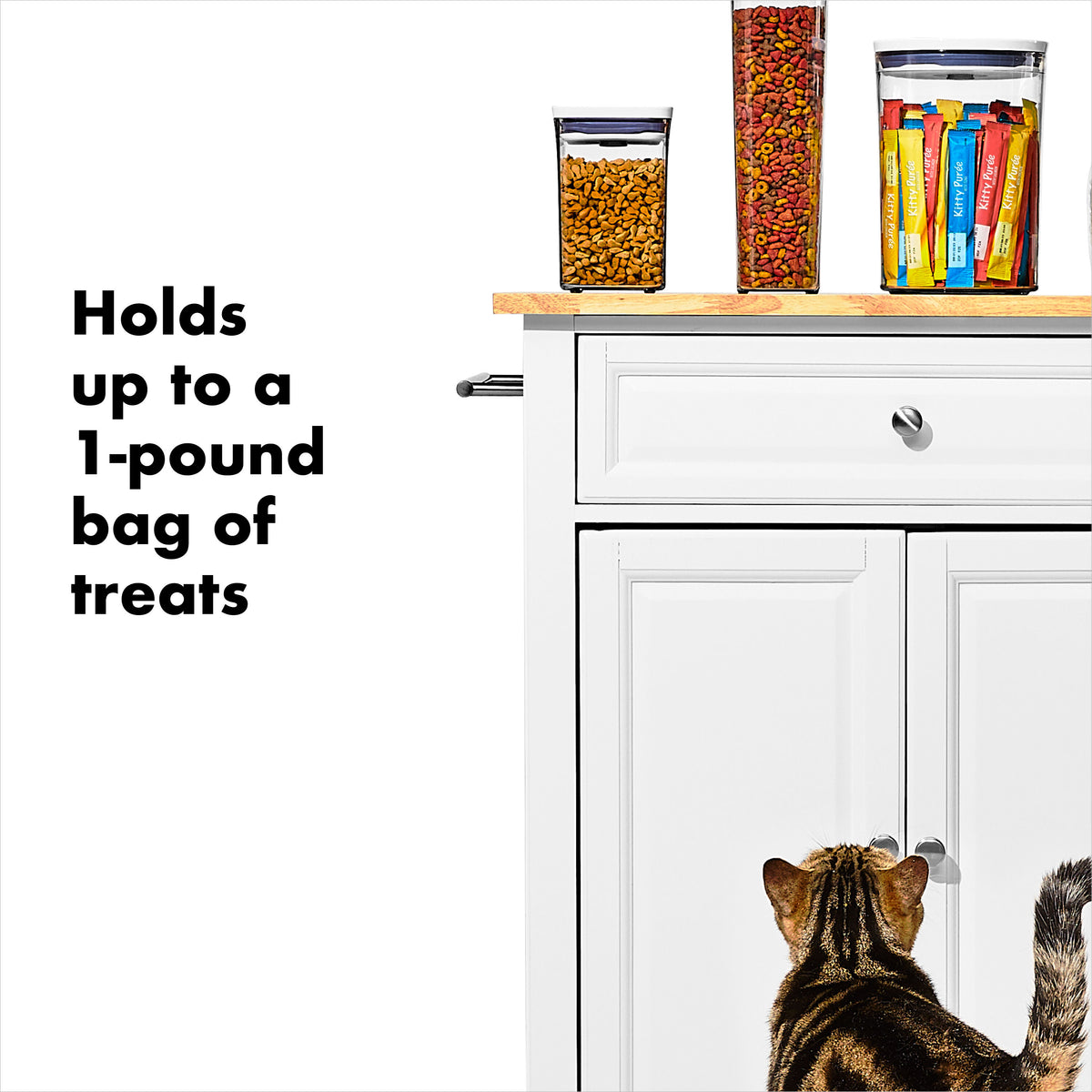 oxo-good-grips-pet-pop-container-1-1-qt-1-l-o0 gg_11332600_8.jpg