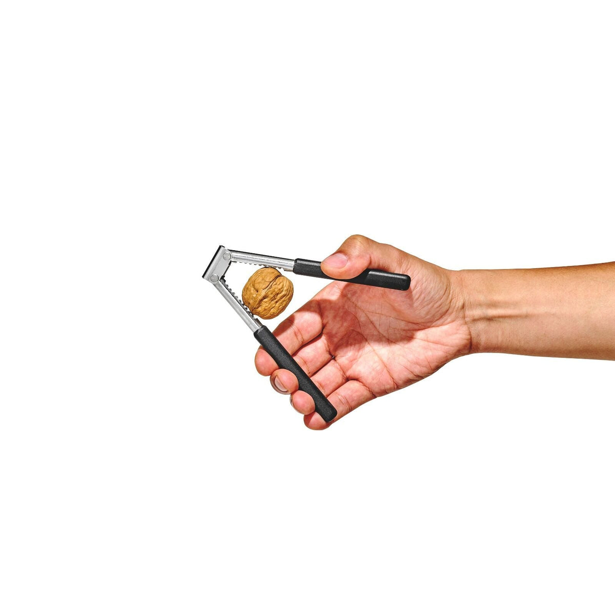 seafood-and-nut-cracker-k8 gg_11350300_seafoodnutcracker_09_1.jpg