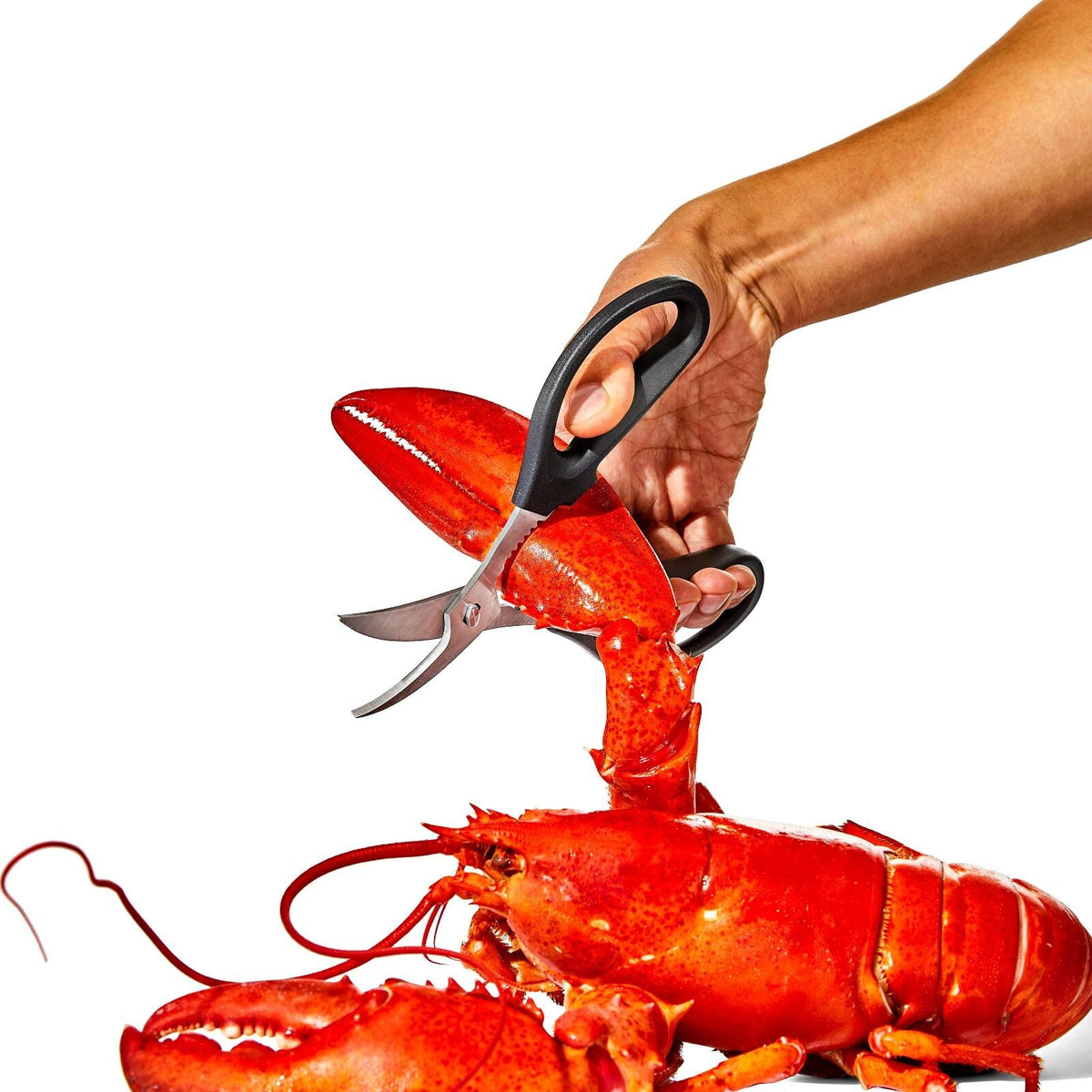 seafood-scissors-x3 gg_11350600_seafoodscissors_03_p.jpg