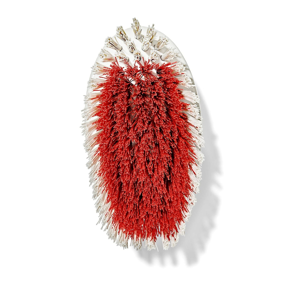 all-purpose-scrub-brush-2-pack-i5 gg_12426000_scrub-brush-2-pack_pdp_07.jpeg