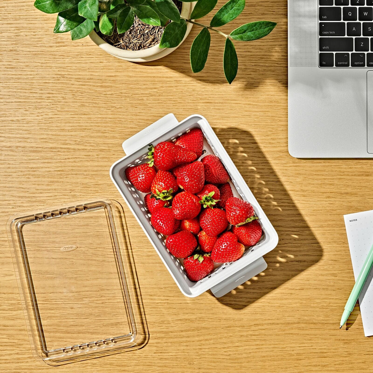 produce-saver-berry-keeper-2-piece-set-z6 gg_berry-keeper-produce-saver_pdp_01_1_.jpg