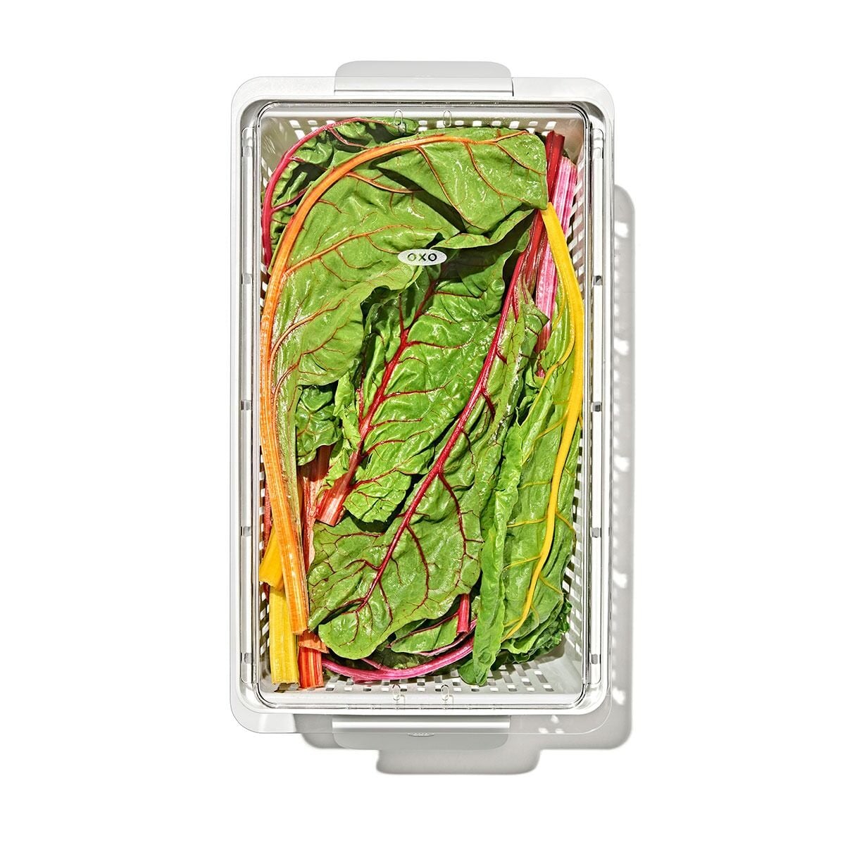 produce-saver-large-bin-h2 gg_sw_produce-saver-large_10.jpg