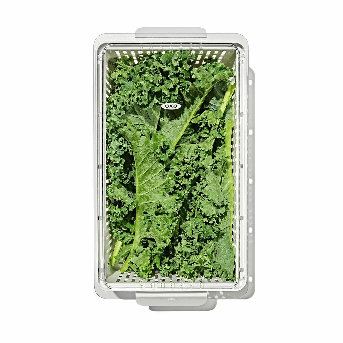 produce-saver-medium-bin-j7 gg_sw_produce-saver-medium_05.jpg