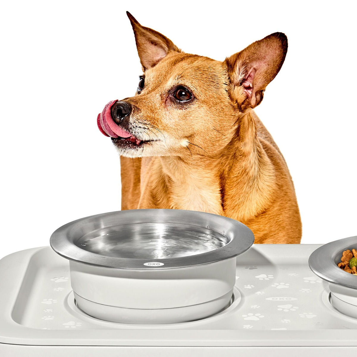 oxo-pet-nonslip-bowl-medium-2-cups-480-ml-z4 pet_7101900_nonslip-medium-bowl_pdp_02.jpeg
