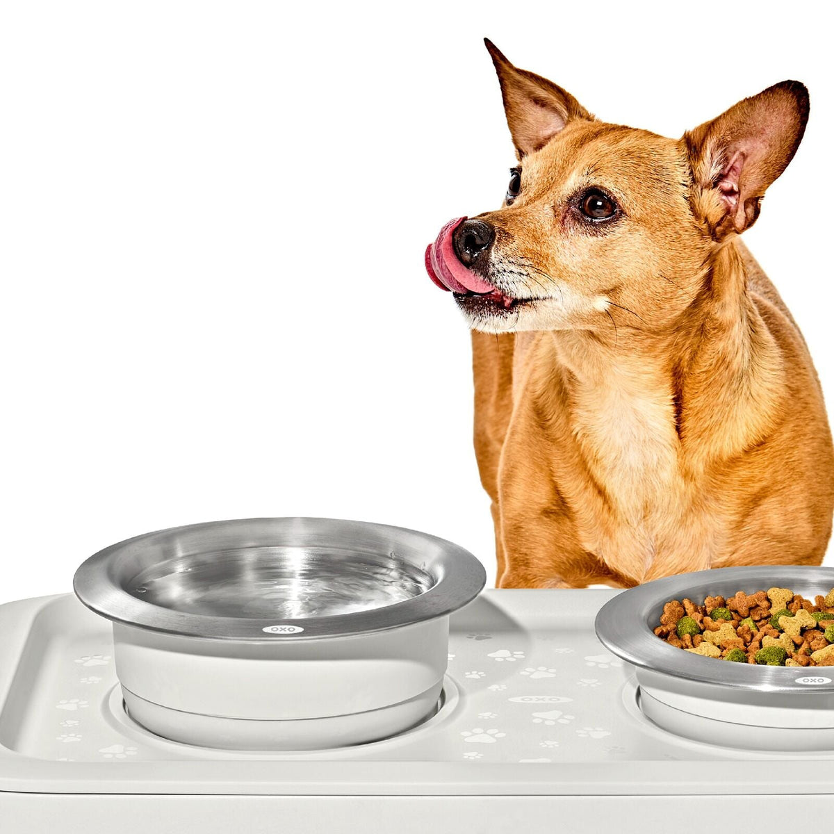 oxo-pet-nonslip-bowl-large-4-cups-950-ml-j1 pet_7102000_nonslip-large-bowl_pdp_02.jpeg