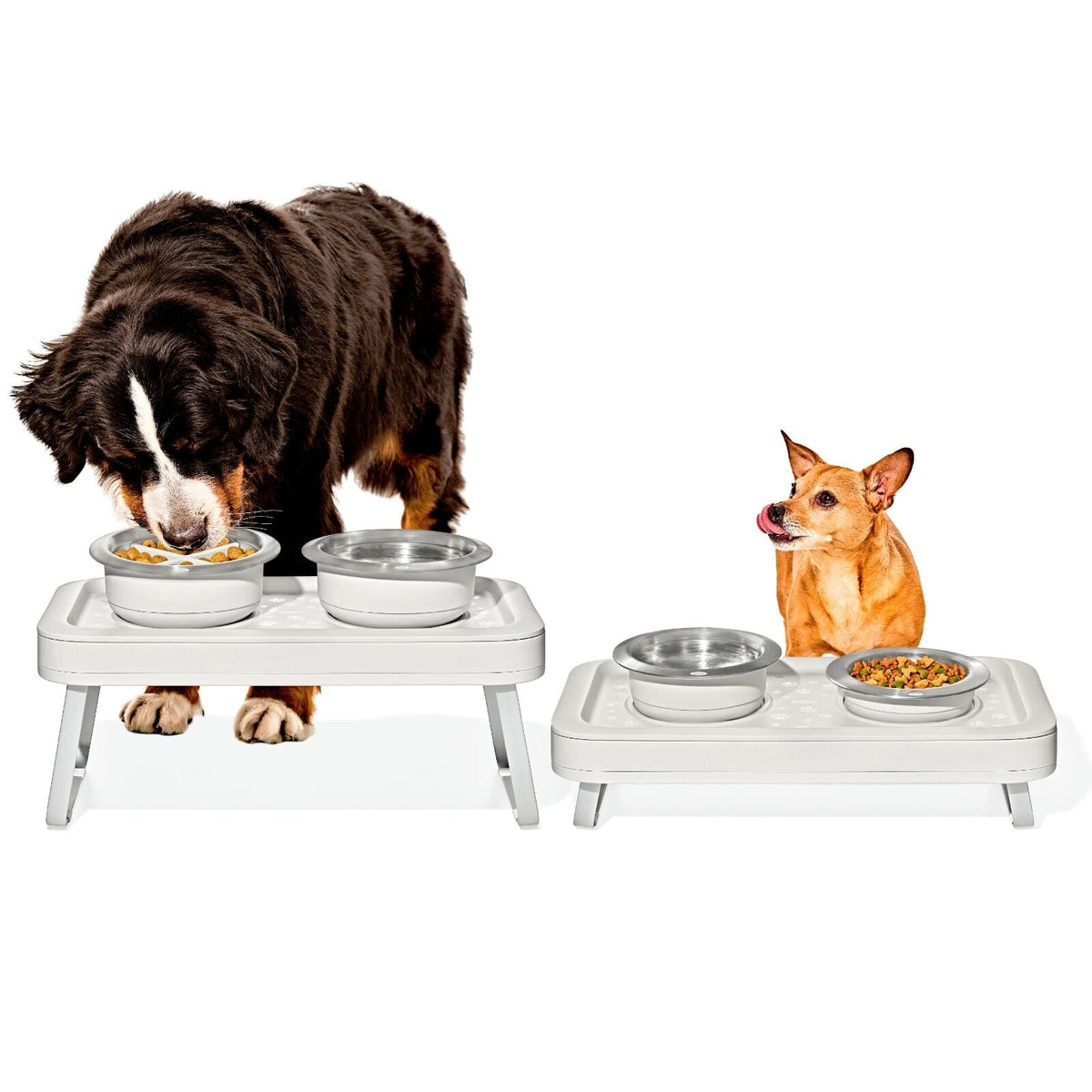 oxo-pet-adjustable-elevated-feeder-k3 pet_7102300_elevated-feeder_pdp_01.jpeg
