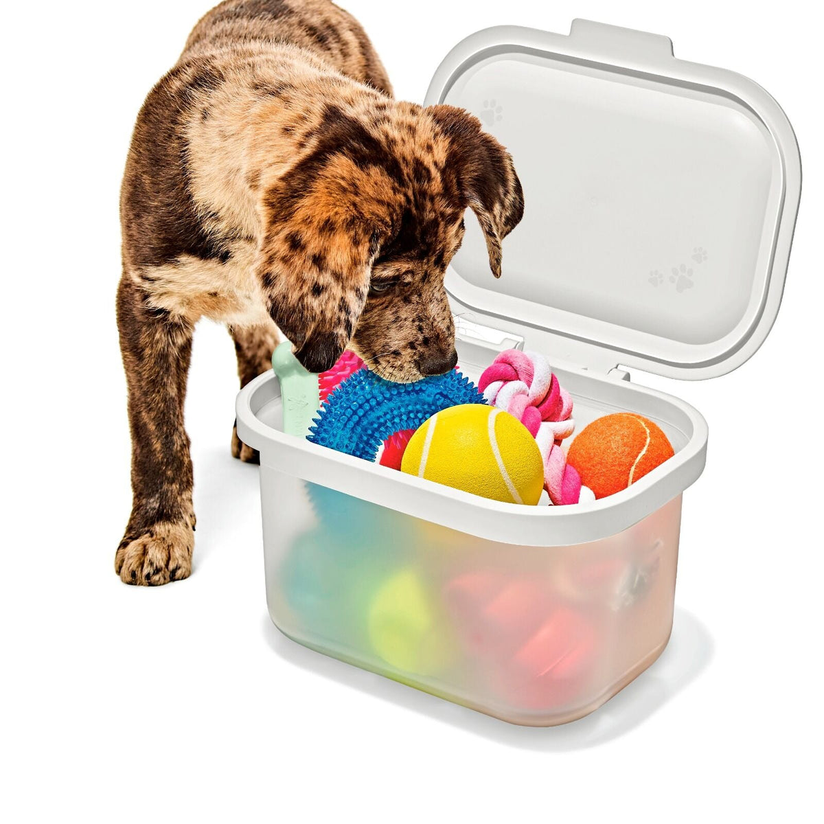 oxo-pet-multi-purpose-container-f9 pet_7301300_multi-purpose-container_pdp_06.jpeg