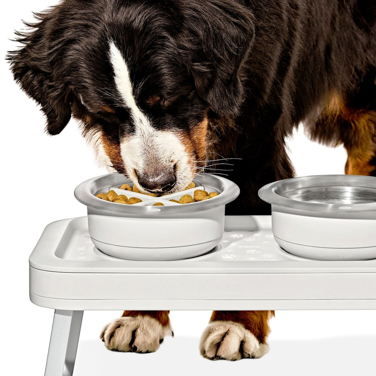 oxo-pet-easy-clean-slow-feeder-medium-2-cups-489-ml-z9 pet_slow-feeder-medium-large_pdp_02_1.jpeg