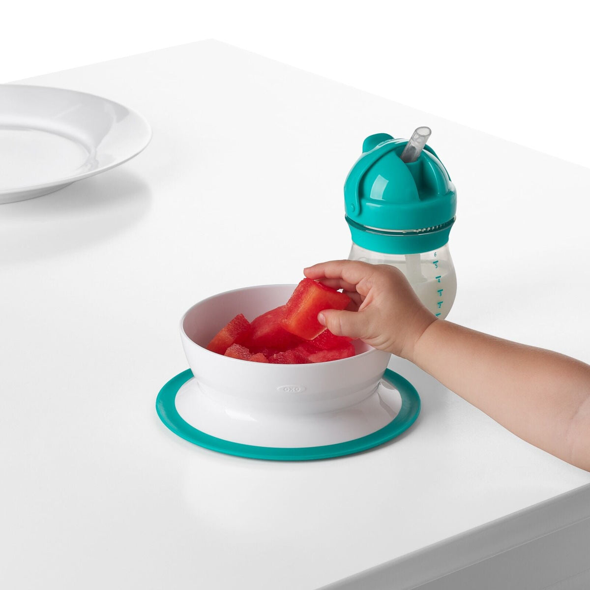 stick-and-stay-suction-bowl-w0 tot_61120600_4i.jpg